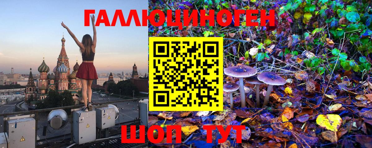 где продают   Вход с VPN  Знаменск  Галлюциногенные грибы GOLDEN TEACHER 