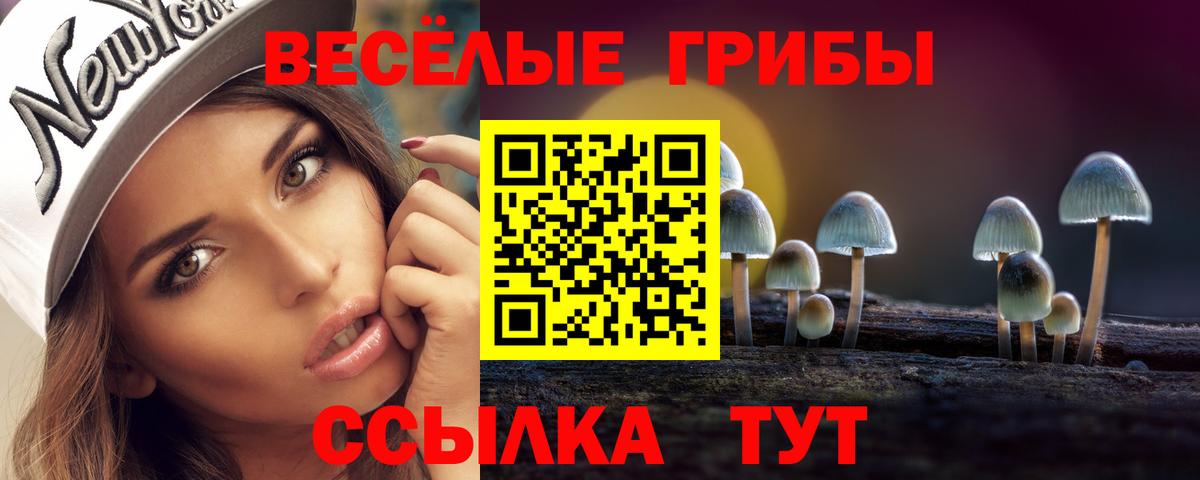 Псилоцибиновые грибы Magic Shrooms Знаменск